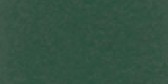 Vert mousse ral 6005 satiné