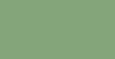 Vert pâle ral 6021 satiné